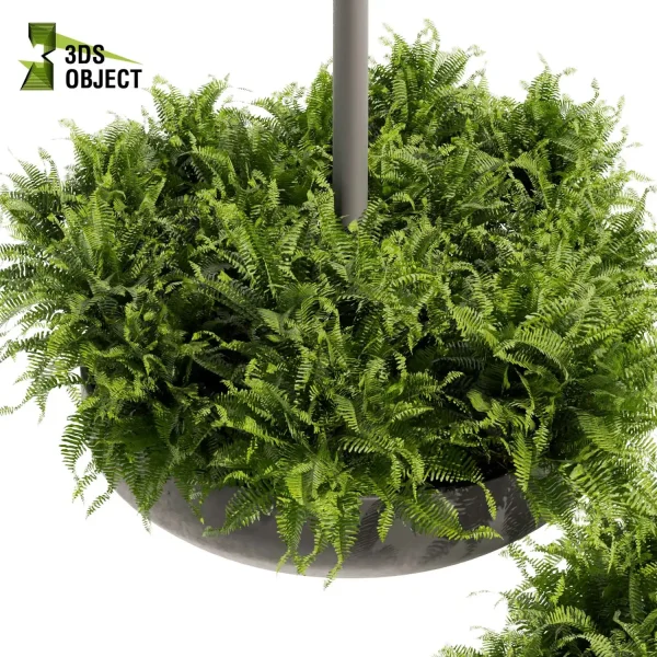3d model plant hanging free Botanical Models fern architectural visualization Digital Landscaping 3D Plant Creation Virtual Garden Design Simulation Vegetation Modeling cinema 4d 3ds max blender enscape fbx obj Rhino Sketchup lumion Greenery Assets Flora Objects Tree low poly purchase