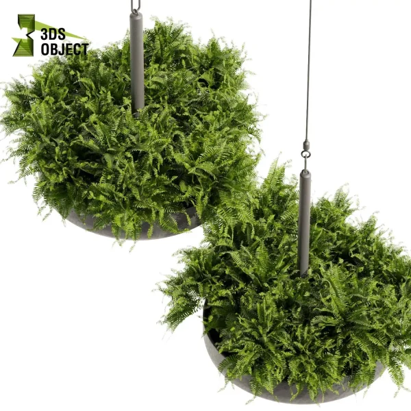 3d model plant hanging free Botanical Models fern architectural visualization Digital Landscaping 3D Plant Creation Virtual Garden Design Simulation Vegetation Modeling cinema 4d 3ds max blender enscape fbx obj Rhino Sketchup lumion Greenery Assets Flora Objects Tree low poly purchase