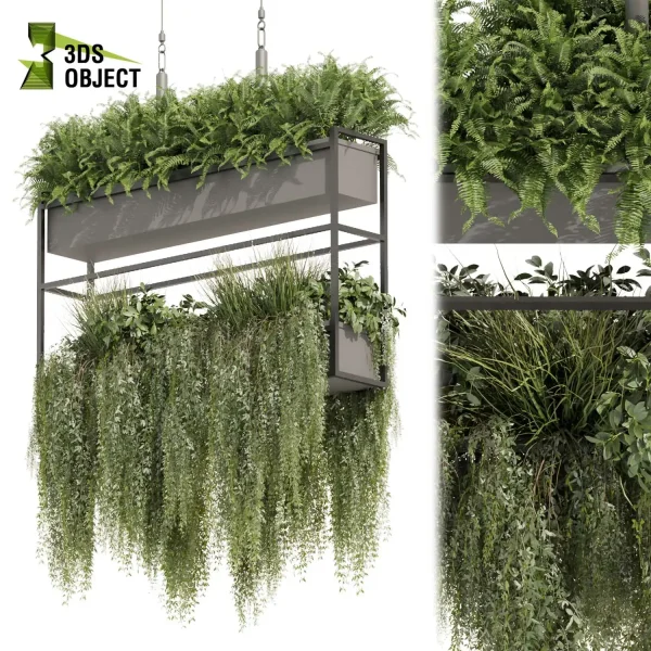 3d model plant hanging free Botanical Models bush fern grass ivy architectural visualization cinema 4d 3ds max blender enscape fbx obj Rhino Sketchup lumion Vegetation Rendering ampelous Botanical Rendering Plant Creation Digital Hanging Plants