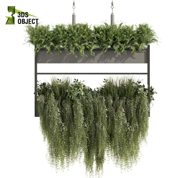 3d model plant hanging free Botanical Models bush fern grass ivy architectural visualization cinema 4d 3ds max blender enscape fbx obj Rhino Sketchup lumion Vegetation Rendering ampelous Botanical Rendering Plant Creation Digital Hanging Plants
