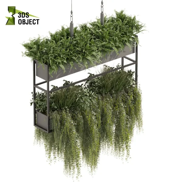3d model plant hanging free Botanical Models bush fern grass ivy architectural visualization cinema 4d 3ds max blender enscape fbx obj Rhino Sketchup lumion Vegetation Rendering ampelous Botanical Rendering Plant Creation Digital Hanging Plants