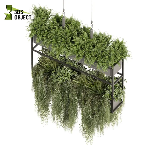 3d model plant hanging free Botanical Models bush fern grass ivy architectural visualization cinema 4d 3ds max blender enscape fbx obj Rhino Sketchup lumion Vegetation Rendering ampelous Botanical Rendering Plant Creation Digital Hanging Plants
