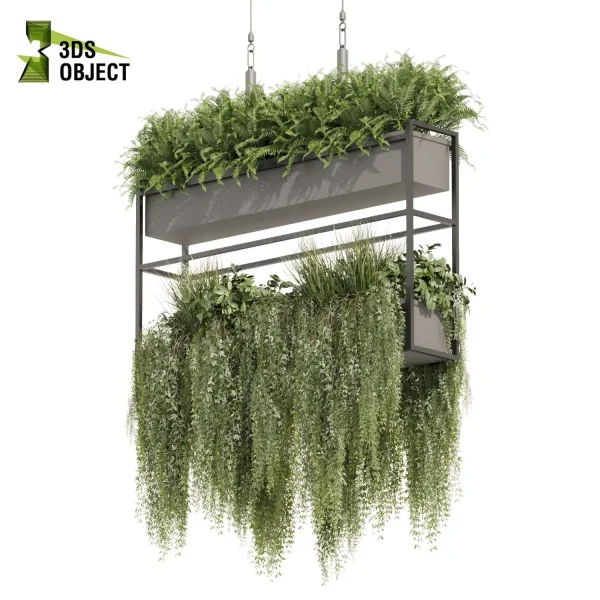 3d model plant hanging free Botanical Models bush fern grass ivy architectural visualization cinema 4d 3ds max blender enscape fbx obj Rhino Sketchup lumion Vegetation Rendering ampelous Botanical Rendering Plant Creation Digital Hanging Plants