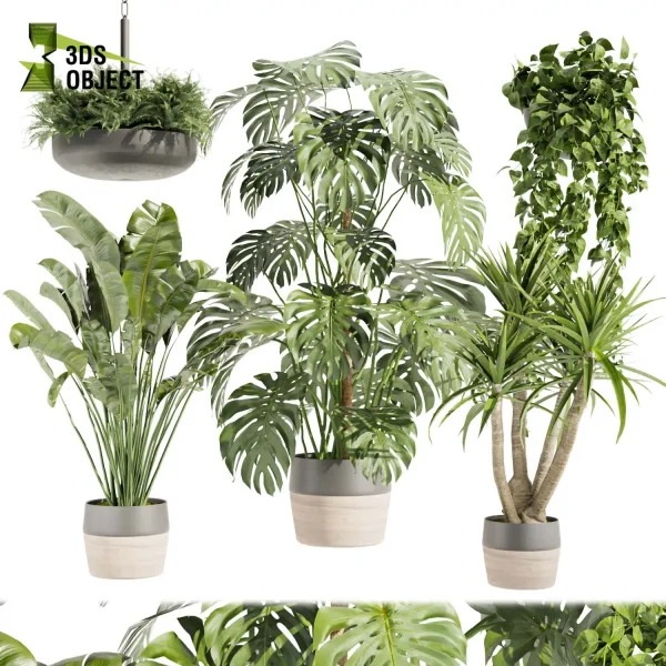 3d model plant pot free Fern pothos banana Devil's ivy monstera dracena visualization purchase architecturesimulation