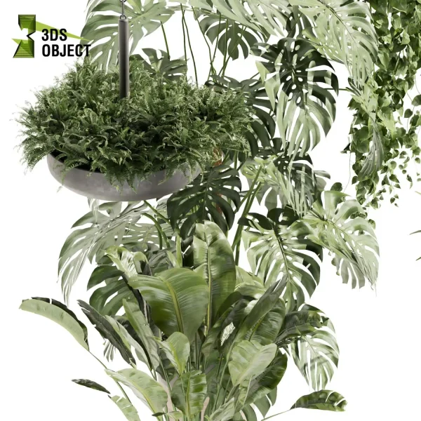 3d model plant pot free Fern pothos banana Devil's ivy monstera dracena visualization purchase architecturesimulation
