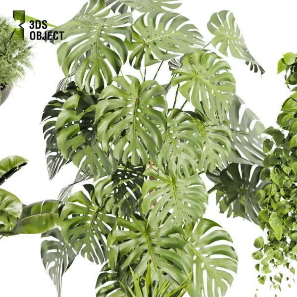 3d model plant pot free Fern pothos banana Devil's ivy monstera dracena visualization purchase architecturesimulation