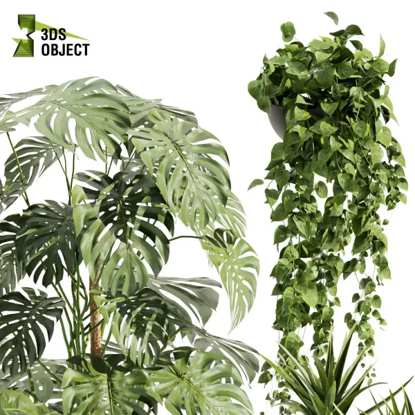 3d model plant pot free Fern pothos banana Devil's ivy monstera dracena visualization purchase architecturesimulation