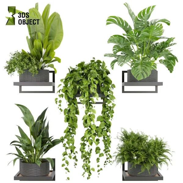 3d model plant pot free Pothos monstera fern peace lily banana 3drendering visualization designsimulation