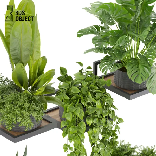 3d model plant pot free Pothos monstera fern peace lily banana 3drendering visualization designsimulation