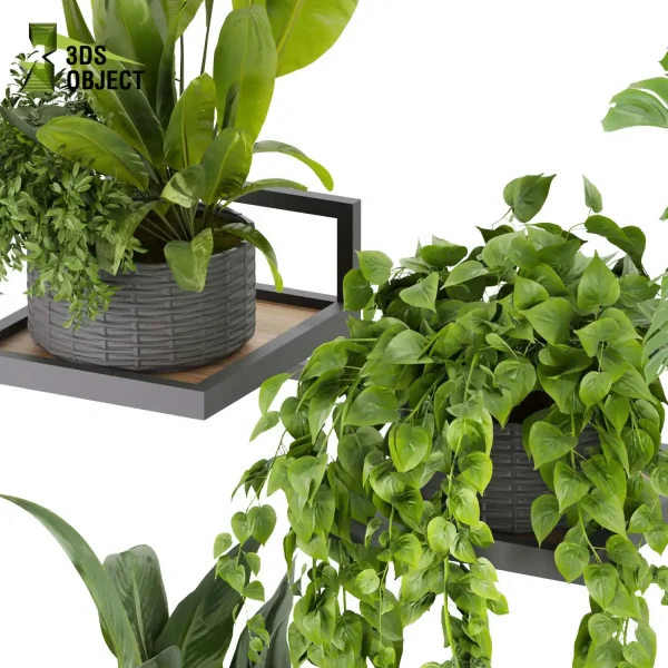 3d model plant pot free Pothos monstera fern peace lily banana 3drendering visualization designsimulation