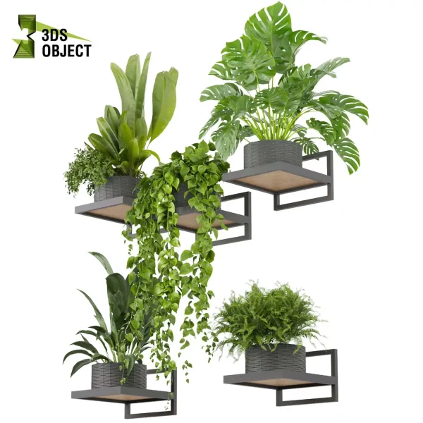 3d model plant pot free Pothos monstera fern peace lily banana 3drendering visualization designsimulation