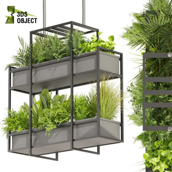 3d model plant hanging free Botanical Models bush fern pothos palm banana grass Design Software Plant Visualization Garden Design Software Modeling Botanical Rendering Plant Creation Digital Hanging Plants cinema 4d 3ds max blender enscape fbx obj Rhino Sketchup lumion
