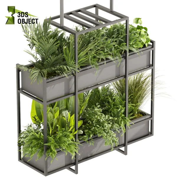 3d model plant hanging free Botanical Models bush fern pothos palm banana grass Design Software Plant Visualization Garden Design Software Modeling Botanical Rendering Plant Creation Digital Hanging Plants cinema 4d 3ds max blender enscape fbx obj Rhino Sketchup lumion