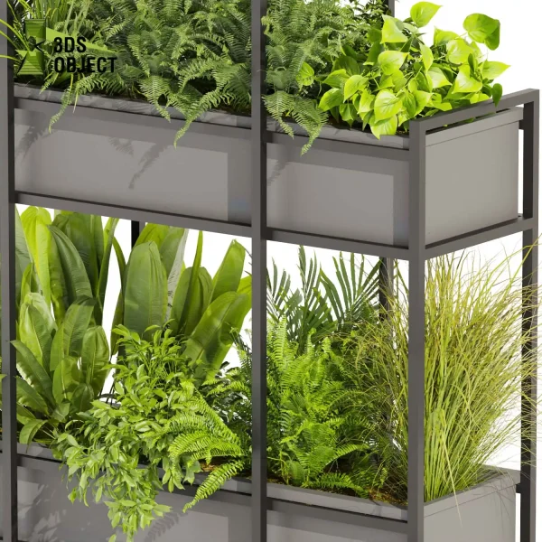 3d model plant hanging free Botanical Models bush fern pothos palm banana grass Design Software Plant Visualization Garden Design Software Modeling Botanical Rendering Plant Creation Digital Hanging Plants cinema 4d 3ds max blender enscape fbx obj Rhino Sketchup lumion