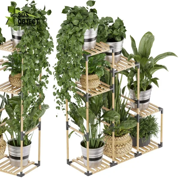3d model plant pot free Pothos banana monstera fern sansveria landscape purchase botanical architecture simulator