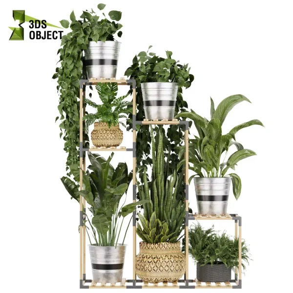 3d model plant pot free Pothos banana monstera fern sansveria landscape purchase botanical architecture simulator