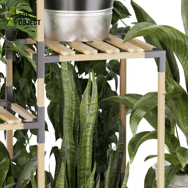 3d model plant pot free Pothos banana monstera fern sansveria landscape purchase botanical architecture simulator