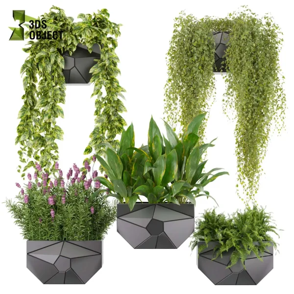 3d model plant pot free French peace lily fern pothos lavender ampelous fbx obj Rhino Sketchup 3D architectural visualization