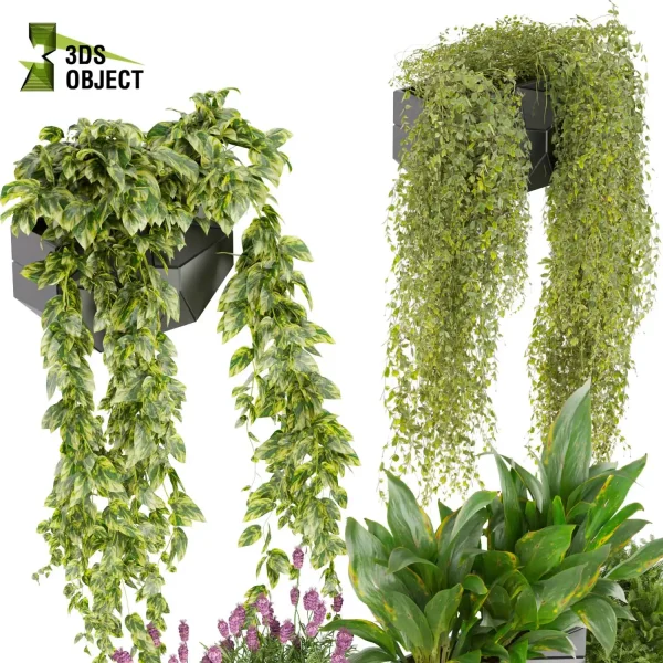 3d model plant pot free French peace lily fern pothos lavender ampelous fbx obj Rhino Sketchup 3D architectural visualization