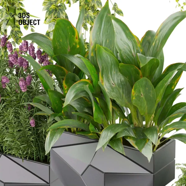 3d model plant pot free French peace lily fern pothos lavender ampelous fbx obj Rhino Sketchup 3D architectural visualization