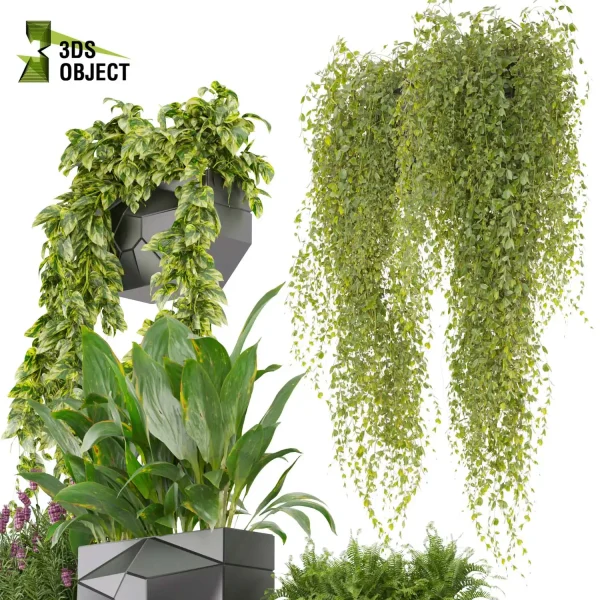 3d model plant pot free French peace lily fern pothos lavender ampelous fbx obj Rhino Sketchup 3D architectural visualization