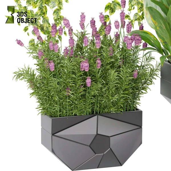 3d model plant pot free French peace lily fern pothos lavender ampelous fbx obj Rhino Sketchup 3D architectural visualization