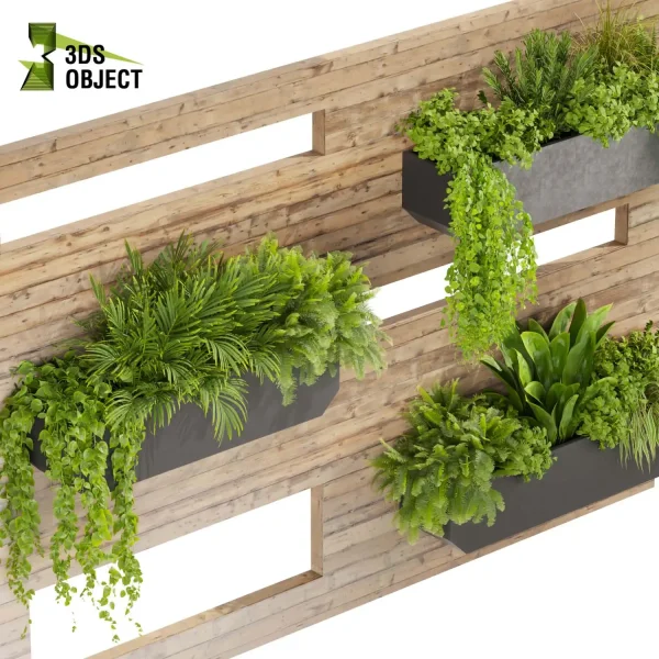 3d model plant free Vegetation tree box Foliage Pothos palm fern rosemary banana grass high poly planter pot Vegetation Assets Foliage Generator Plant Rendering 3D Flora Lush Environment Greenery Generator Botanical Rendering Nature Simulation Plant Modeling Software greenhouse balcony decorative hamedorea