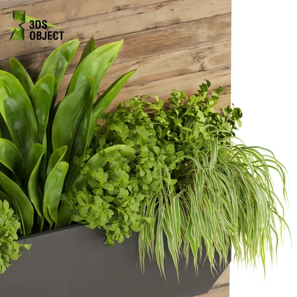3d model plant free Vegetation tree box Foliage Pothos palm fern rosemary banana grass high poly planter pot Vegetation Assets Foliage Generator Plant Rendering 3D Flora Lush Environment Greenery Generator Botanical Rendering Nature Simulation Plant Modeling Software greenhouse balcony decorative hamedorea