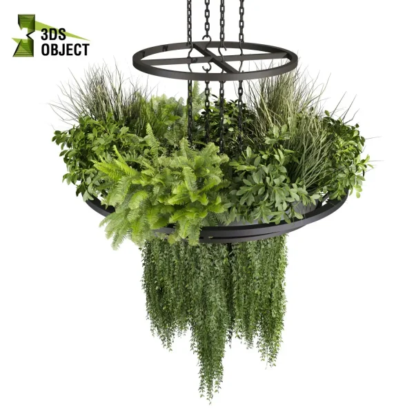 3d model plant hanging free Botanical Models Bush fern grass ivy chandelier planter pot greenhouse balcony decorative hamedorea indoor bush houseplant buy purchase Vegetation Assets Foliage Generator Plant Rendering 3D Flora Lush Environment Greenery Generator Botanical Rendering ampelous cinema 4d 3ds max blender enscape fbx obj Rhino Sketchup lumion