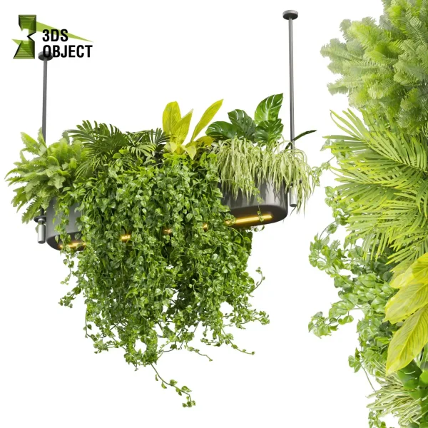3d model plant hanging free Botanical Models monstera palm fern banana pothos grass chandelier hanging Vegetation Rendering Plant Simulation Virtual Botany Ecological Simulation Digital Horticulture Plant Design Software cinema 4d 3ds max blender enscape fbx obj Rhino Sketchup lumion buy