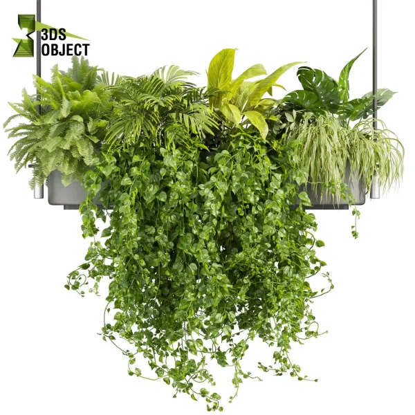 3d model plant hanging free Botanical Models monstera palm fern banana pothos grass chandelier hanging Vegetation Rendering Plant Simulation Virtual Botany Ecological Simulation Digital Horticulture Plant Design Software cinema 4d 3ds max blender enscape fbx obj Rhino Sketchup lumion buy