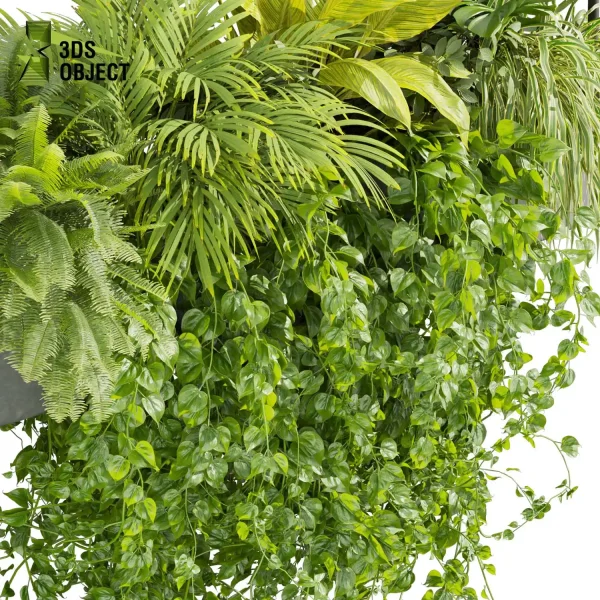 3d model plant hanging free Botanical Models monstera palm fern banana pothos grass chandelier hanging Vegetation Rendering Plant Simulation Virtual Botany Ecological Simulation Digital Horticulture Plant Design Software cinema 4d 3ds max blender enscape fbx obj Rhino Sketchup lumion buy