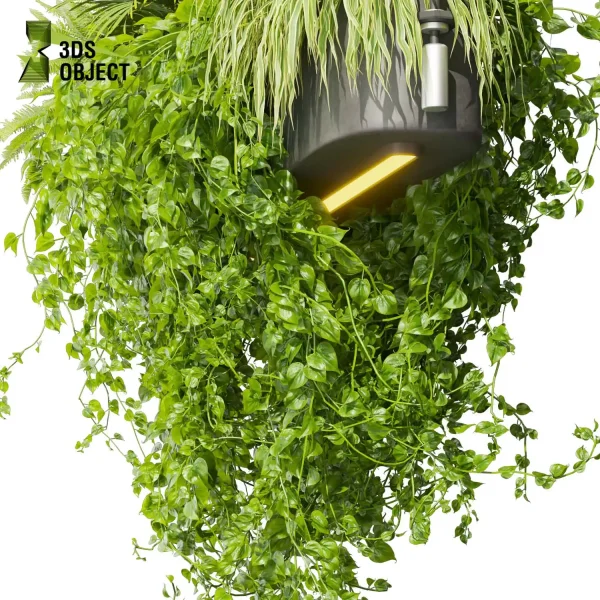 3d model plant hanging free Botanical Models monstera palm fern banana pothos grass chandelier hanging Vegetation Rendering Plant Simulation Virtual Botany Ecological Simulation Digital Horticulture Plant Design Software cinema 4d 3ds max blender enscape fbx obj Rhino Sketchup lumion buy