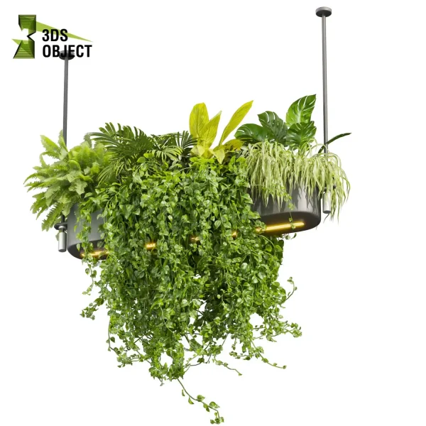 3d model plant hanging free Botanical Models monstera palm fern banana pothos grass chandelier hanging Vegetation Rendering Plant Simulation Virtual Botany Ecological Simulation Digital Horticulture Plant Design Software cinema 4d 3ds max blender enscape fbx obj Rhino Sketchup lumion buy