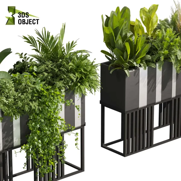 3d model plant free Vegetation tree box Foliage Pothos palm grass pampas banana fernhigh poly Botanical Rendering Nature Simulation Plant Modeling Software 3D Garden Design Forest Simulation 3D Tree Generator Landscape Design Software cinema 4d 3ds max blender enscape fbx obj Rhino Sketchup lumion