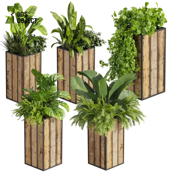 3d model plant free Vegetation tree box Foliage Banana grass pothos fern monstera Plant Simulation Virtual Botany Ecological Simulation Digital Horticulture Plant Design Software vegetation modeling tool botanical architecture simulator cinema 4d 3ds max blender enscape fbx obj Rhino Sketchup lumion low poly