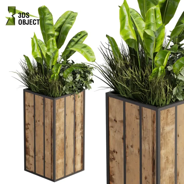 3d model plant free Vegetation tree box Foliage Banana grass pothos fern monstera Plant Simulation Virtual Botany Ecological Simulation Digital Horticulture Plant Design Software vegetation modeling tool botanical architecture simulator cinema 4d 3ds max blender enscape fbx obj Rhino Sketchup lumion low poly