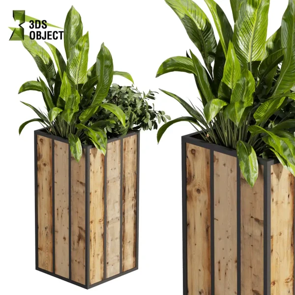 3d model plant free Vegetation tree box Foliage Banana grass pothos fern monstera Plant Simulation Virtual Botany Ecological Simulation Digital Horticulture Plant Design Software vegetation modeling tool botanical architecture simulator cinema 4d 3ds max blender enscape fbx obj Rhino Sketchup lumion low poly