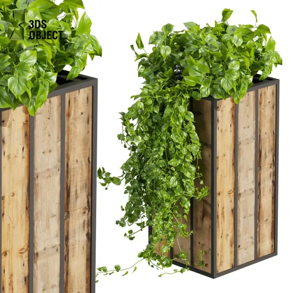 3d model plant free Vegetation tree box Foliage Banana grass pothos fern monstera Plant Simulation Virtual Botany Ecological Simulation Digital Horticulture Plant Design Software vegetation modeling tool botanical architecture simulator cinema 4d 3ds max blender enscape fbx obj Rhino Sketchup lumion low poly