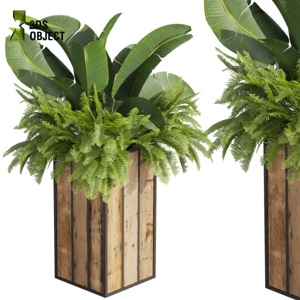 3d model plant free Vegetation tree box Foliage Banana grass pothos fern monstera Plant Simulation Virtual Botany Ecological Simulation Digital Horticulture Plant Design Software vegetation modeling tool botanical architecture simulator cinema 4d 3ds max blender enscape fbx obj Rhino Sketchup lumion low poly
