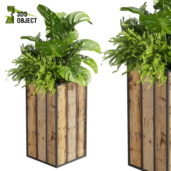 3d model plant free Vegetation tree box Foliage Banana grass pothos fern monstera Plant Simulation Virtual Botany Ecological Simulation Digital Horticulture Plant Design Software vegetation modeling tool botanical architecture simulator cinema 4d 3ds max blender enscape fbx obj Rhino Sketchup lumion low poly