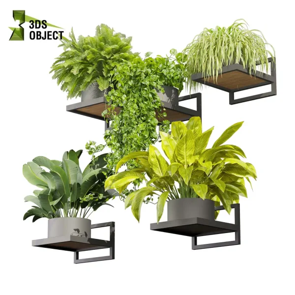 3d model plant pot free Pothos fern banana grass balcony buy houseplant leaves 3D architectural visualization