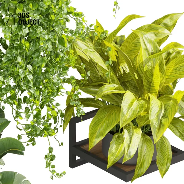 3d model plant pot free Pothos fern banana grass balcony buy houseplant leaves 3D architectural visualization