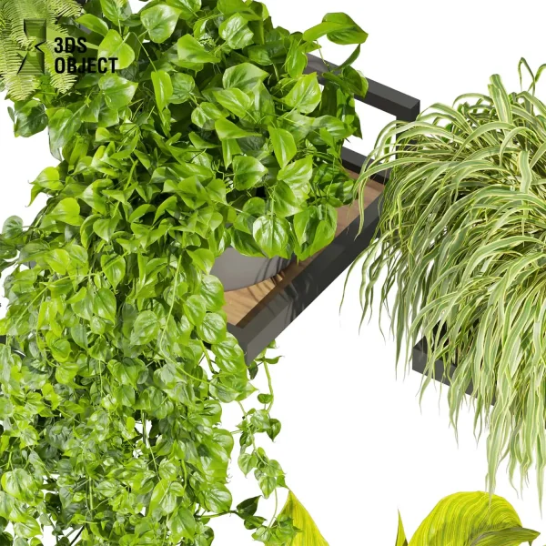 3d model plant pot free Pothos fern banana grass balcony buy houseplant leaves 3D architectural visualization