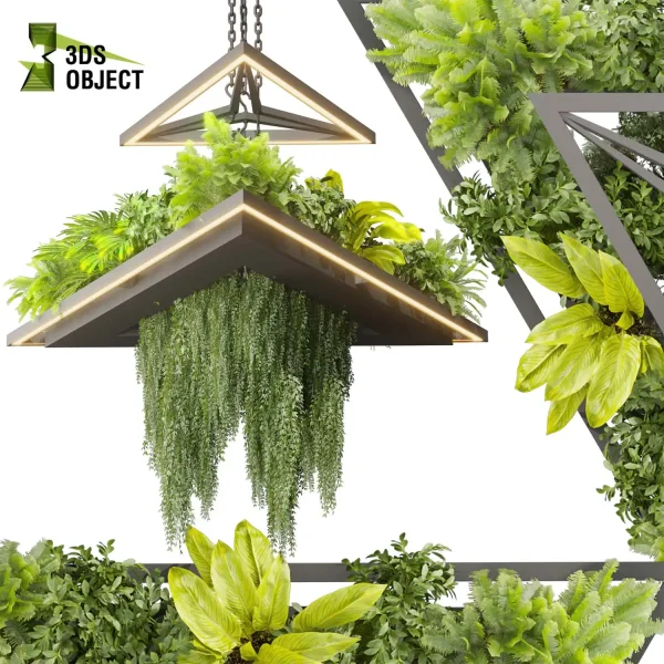 3d model plant hanging free Botanical Models bush fern palm banana ivy grass hanging ampelous buy 3D Vegetation Plant Models Foliage Assets Botanical Models Greenery Assets Flora Objects cinema 4d 3ds max blender enscape fbx obj Rhino Sketchup lumion