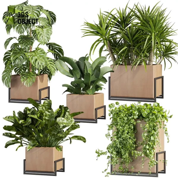 3d model plant free Vegetation tree box Foliage Monstera banana pothos dracena box purchase low poly 3D Garden Design Forest Simulation 3D Tree Generator Landscape Design Software Foliage Rendering vegetation modeling tool botanical architecture simulator 3D architectural visualization cinema 4d 3ds max blender enscape fbx obj Rhino Sketchup lumion