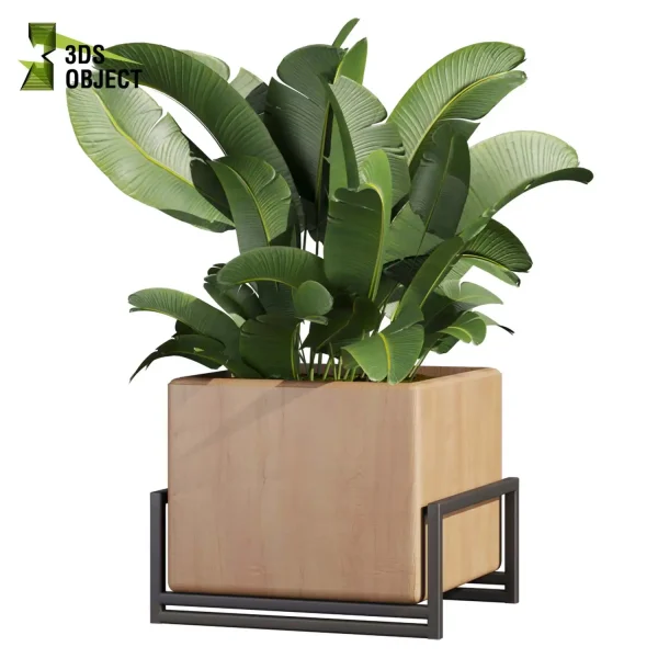 3d model plant free Vegetation tree box Foliage Monstera banana pothos dracena box purchase low poly 3D Garden Design Forest Simulation 3D Tree Generator Landscape Design Software Foliage Rendering vegetation modeling tool botanical architecture simulator 3D architectural visualization cinema 4d 3ds max blender enscape fbx obj Rhino Sketchup lumion