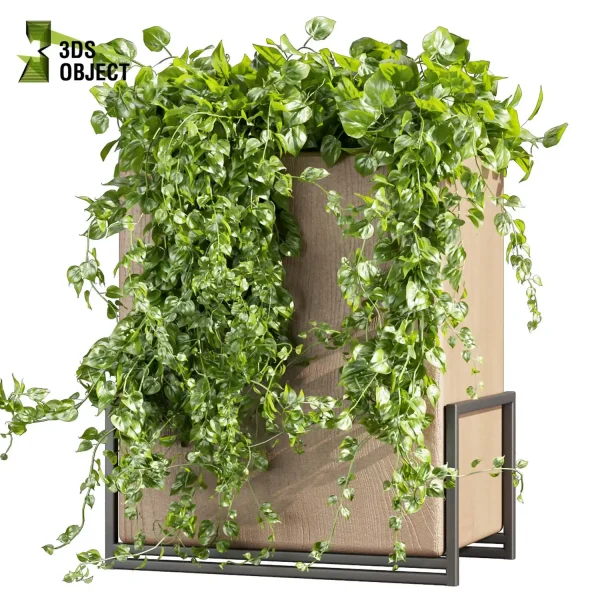 3d model plant free Vegetation tree box Foliage Monstera banana pothos dracena box purchase low poly 3D Garden Design Forest Simulation 3D Tree Generator Landscape Design Software Foliage Rendering vegetation modeling tool botanical architecture simulator 3D architectural visualization cinema 4d 3ds max blender enscape fbx obj Rhino Sketchup lumion