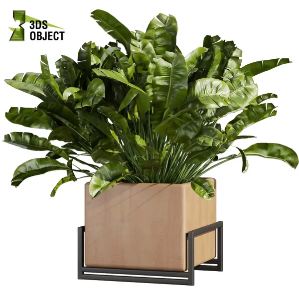 3d model plant free Vegetation tree box Foliage Monstera banana pothos dracena box purchase low poly 3D Garden Design Forest Simulation 3D Tree Generator Landscape Design Software Foliage Rendering vegetation modeling tool botanical architecture simulator 3D architectural visualization cinema 4d 3ds max blender enscape fbx obj Rhino Sketchup lumion