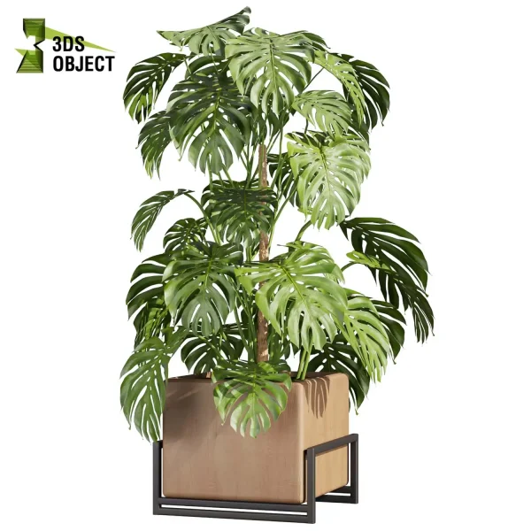 3d model plant free Vegetation tree box Foliage Monstera banana pothos dracena box purchase low poly 3D Garden Design Forest Simulation 3D Tree Generator Landscape Design Software Foliage Rendering vegetation modeling tool botanical architecture simulator 3D architectural visualization cinema 4d 3ds max blender enscape fbx obj Rhino Sketchup lumion